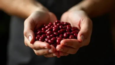 červené fazole recept a příprava – Recepty a praktické tipy na přípravu červených fazolí