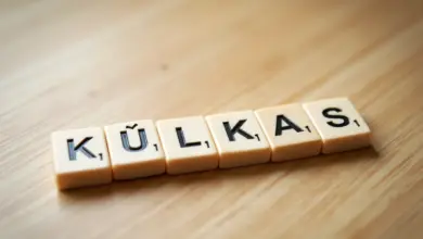 Jak správně vyřešit kulkas na 4 písmena v křížovce
