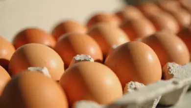 jak skladovat vejce správně – Praktické metody pro správné skladování vajec