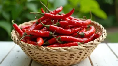 jak zpracovat papriky na zimu – Jak efektivně zpracovat papriky na zimu