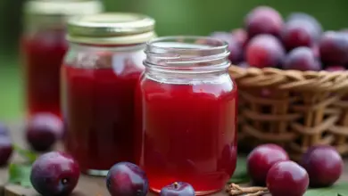 povidla v pomalém hrnci jednoduchý recept - Jak snadno připravit povidla v pomalém hrnci: jednoduchý recept