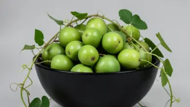 ačokča pěstování a využití v kuchyni - Jak pěstovat ačokču a využít ji v kuchyni