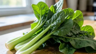 mangold recept na chutné pokrmy - Chutné recepty s mangoldem: jak připravit zdravé pokrmy