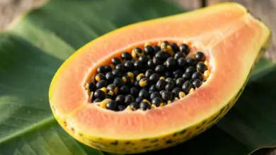 papaya co to je a jak ji jíst - Papaya - ilustrační foto