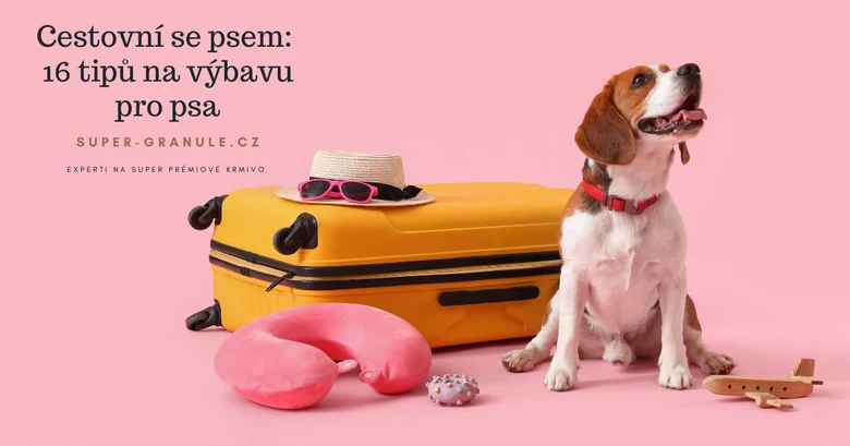 Pes cestuje s batohem - tipy na výbavu pro psy