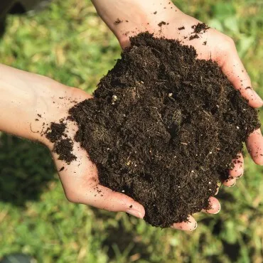 Ruce drží hromádku černého kompostu na zeleném pozadí