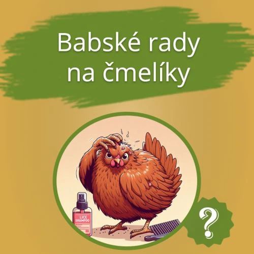 Ilustrace kuřete s louskem vedle šamponu na blchy