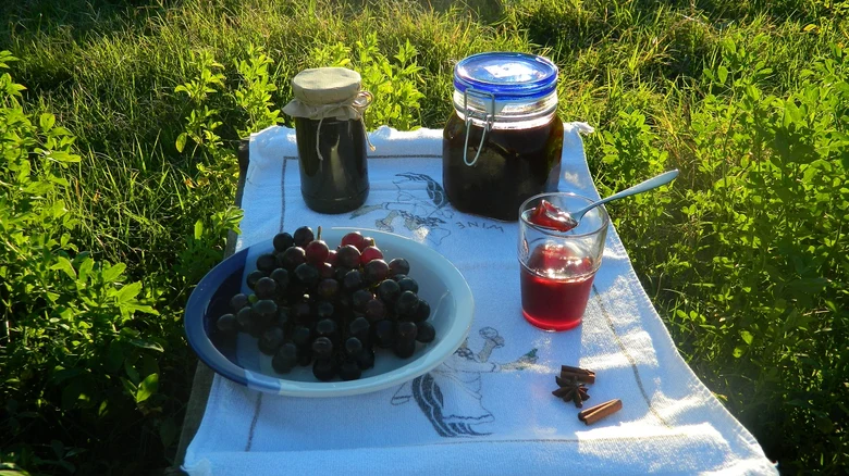 Hroznová marmeláda s kořením a čerstvými hrozny venku