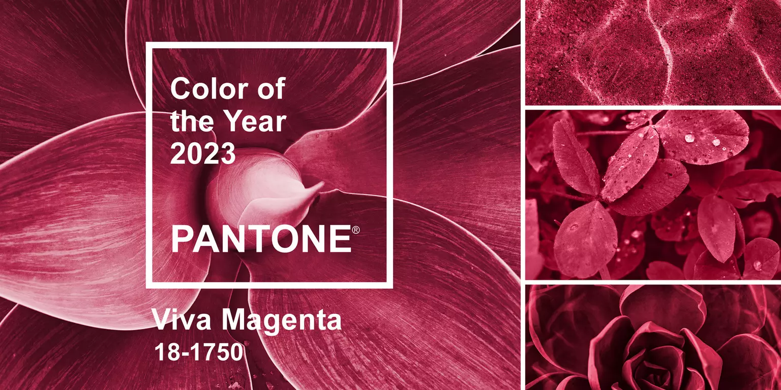 Viva Magenta - barva roku 2023 podle PANTONE