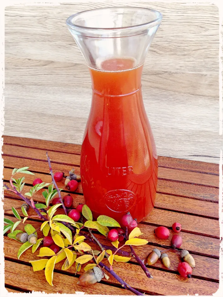 Šípkový sirup: recept, účinky a výroba doma