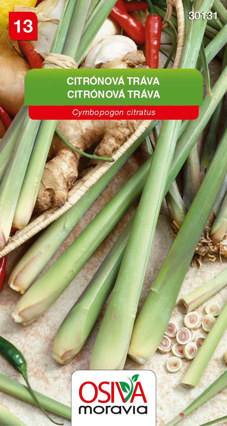 Čerstvá citronová tráva s kořenem a cibulí v pozadí.