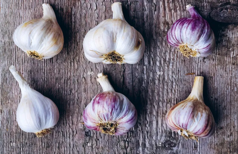 Šest hlaviček česneku na dřevěném povrchu.