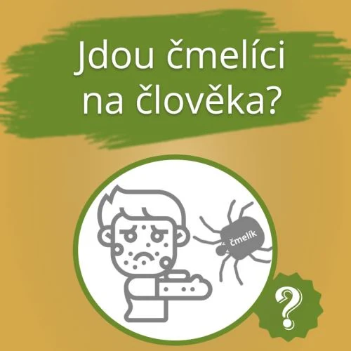 Člověk se bojí čmela – jdou na člověka?