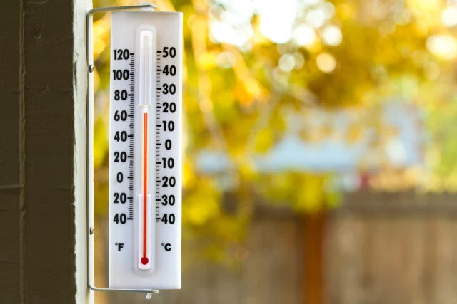Termometr ukazující teplotu venku s listím na pozadí.