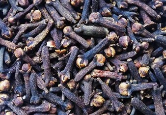 Dried cloves