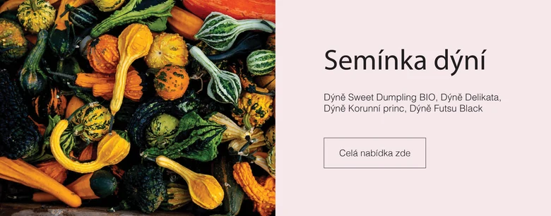 Různé druhy čerstvé zelené dýně na dřevěném podkladu.