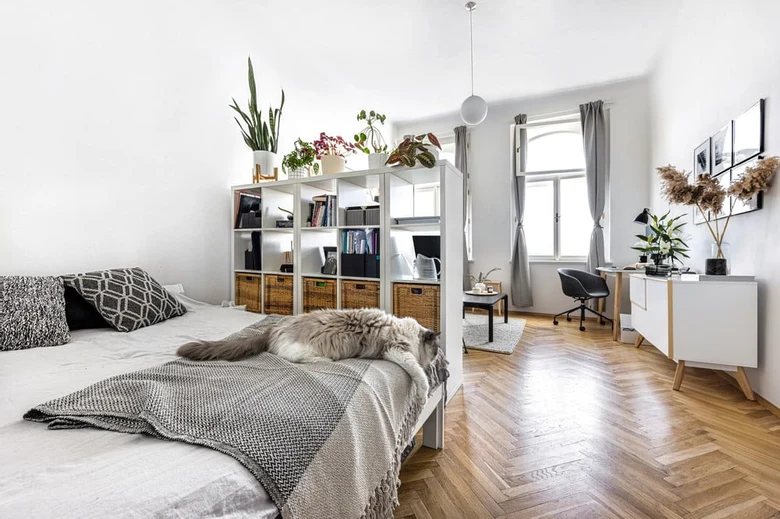 Moderní ložnice s postelí, knihovnou a kočkou na bílém pozadí.