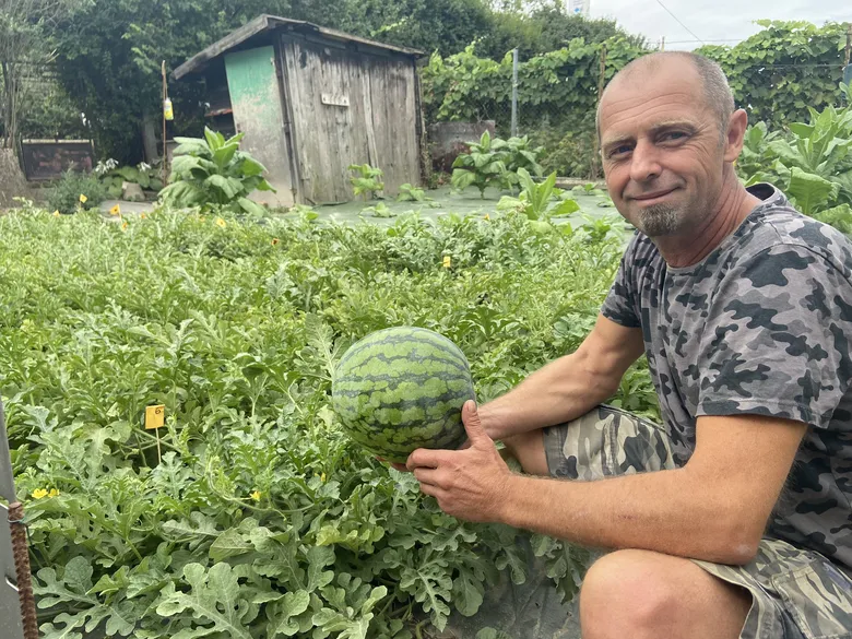 Muž drží meloun v zahradě s rostlinami.