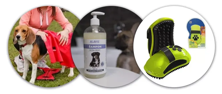 Přehled péče o psa: šampon, kartáč a osušování.