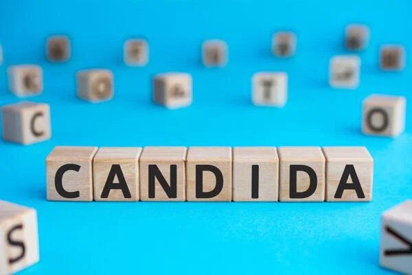 Slovní kostky s nápisem CANDIDA na modrém pozadí.