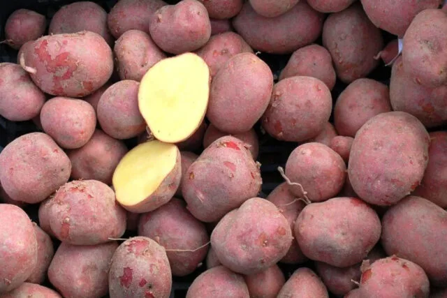 Červené brambory, jedna rozřezaná na polovinu