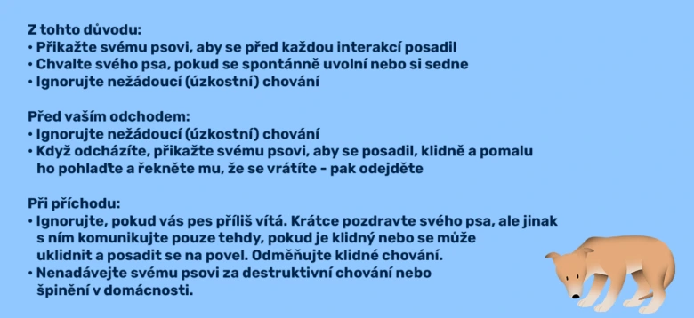 Tipy pro řešení separační úzkosti u psa s obrázkem smutného psa