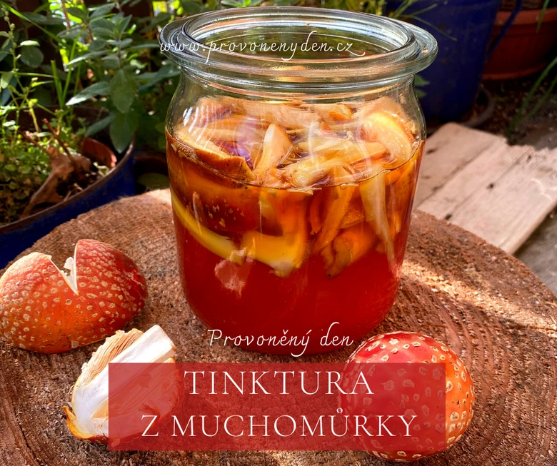Tinktura z červené muchomůrky v sklenici s čerstvými houbami