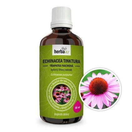 Echinacea tinktura jako přírodní antibiotikum pro imunitu