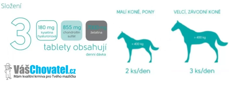 Složení kolagenu pro koně a doporučená dávka podle velikosti koně