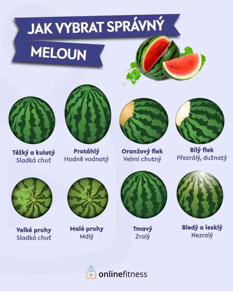 Infografika s tipy na výběr správného melounu podle tvaru, barvy a tečky