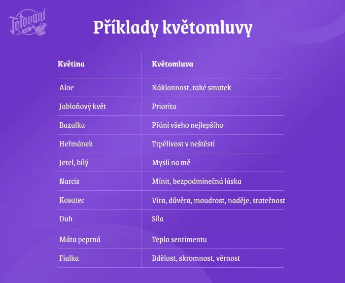 Tabulka s významy květin v češtině pro článek o lučních květinách.
