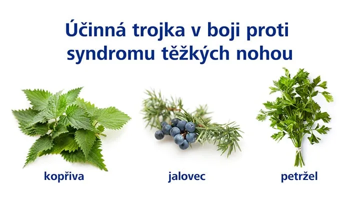 Tři bylinky pro syndrom těžkých nohou: kopřiva, jalovec a petržel.