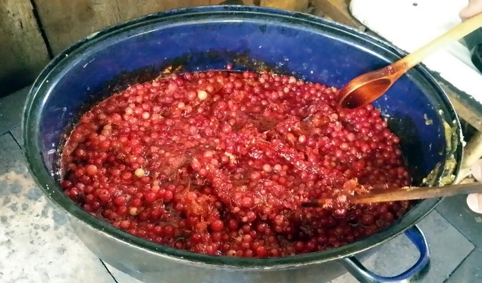 Červené brusinky vařené v hrnci – výsledek pěstování rybízu