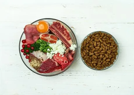 Surové ingredience pro psí stravu vedle suchých granul.