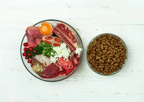 Porovnání surového jídla pro psy s granulovaným krmivem