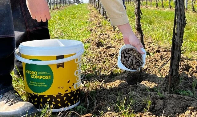 Přidávání organického kompostu do půdy mezi vinnými révami.