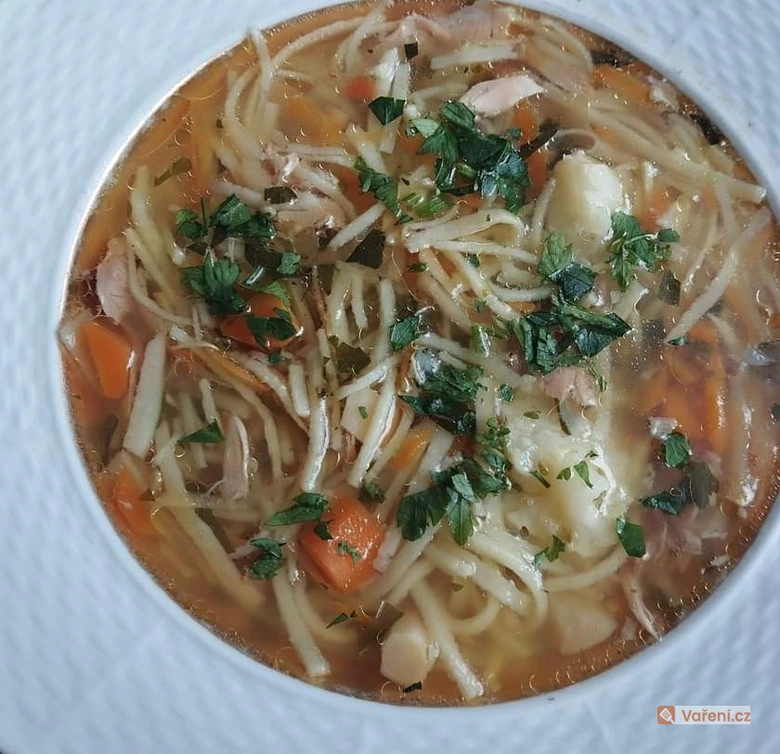 Hot Czech egg drop soup with noodles, carrots and parsley.