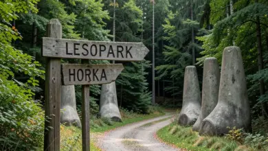 Co je lesopark horka a co tam dělat - ilustrační foto