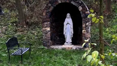 Statue of mary in grotto