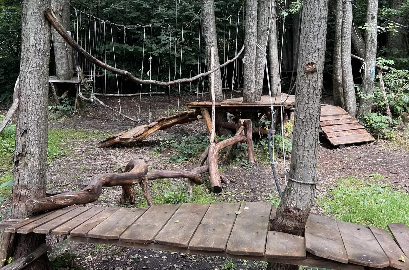 Dřevěné hřiště s mosty a lanovými překážkami v lese.