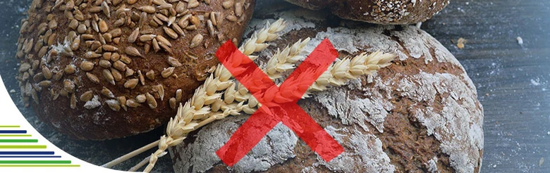 Pšeničné klasy zakřížované nad chlebem jako symbol intolerance na lepek