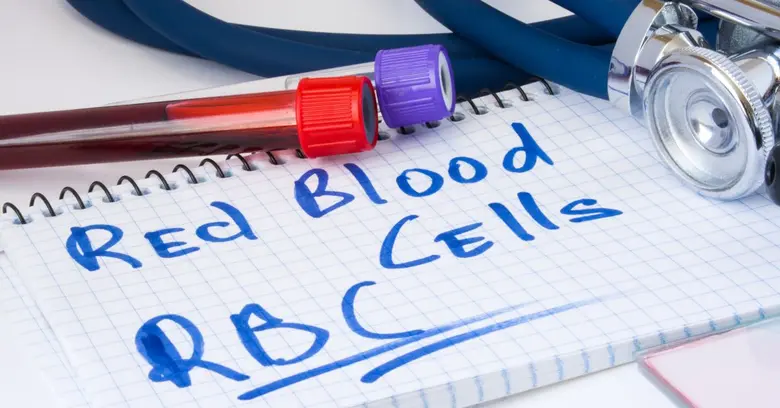 Red blood cells rbc