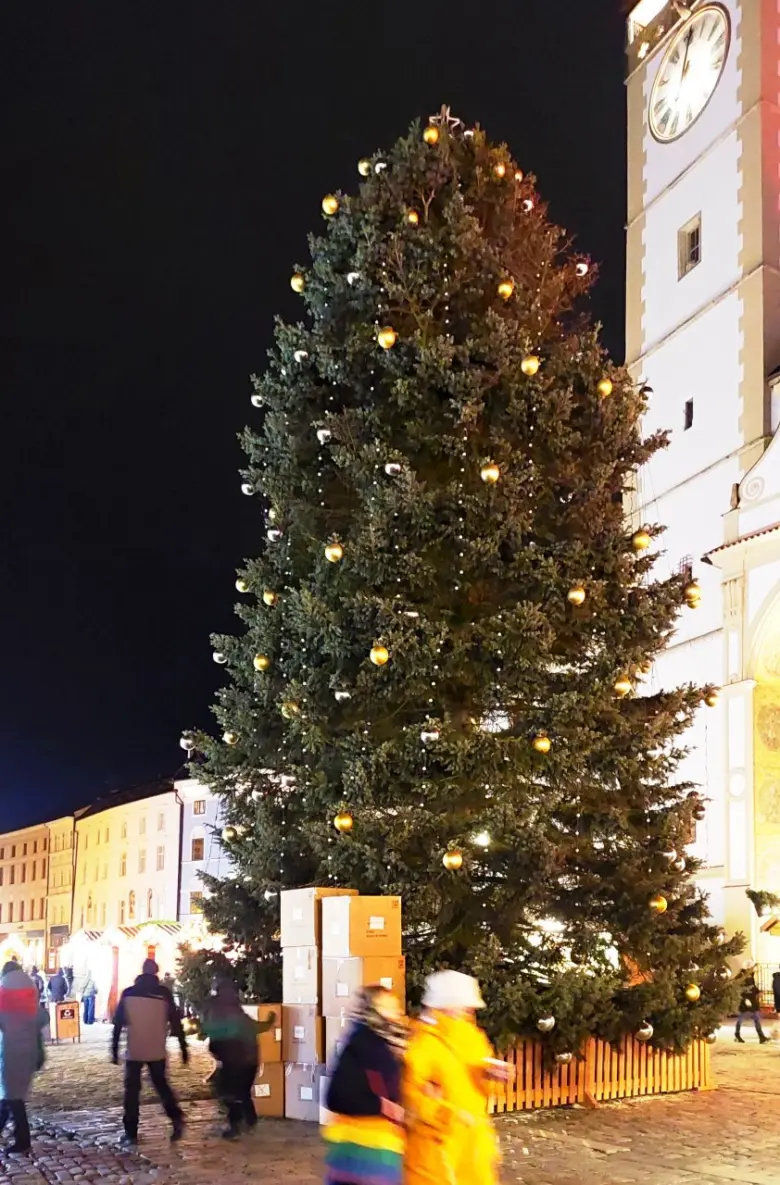 Velký vánoční strom na náměstí v Olomouci za tmy