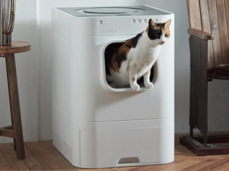 Kočka sedí v bílé automatické kočičí toaletě.