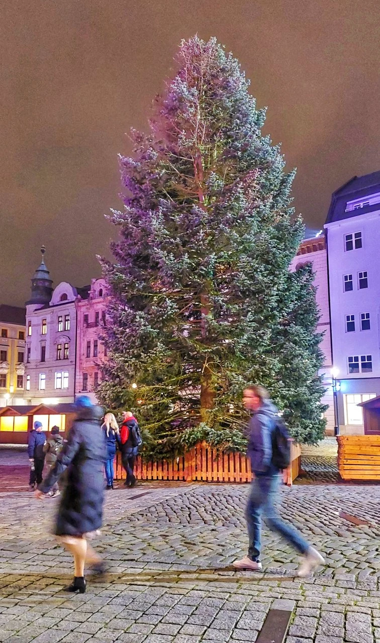 Velký vánoční strom na náměstí v Olomouci za tmy