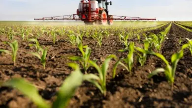 Agricultural tractor spraying crops