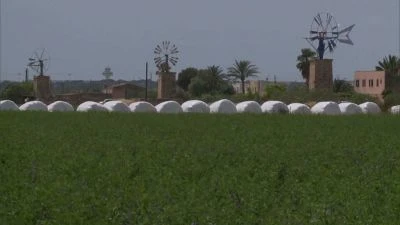 Řada bílých větrných turbín na zeleném poli.