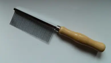 Hřeben pro péči o srst italského vodního psa s dřevěnou rukojetí.