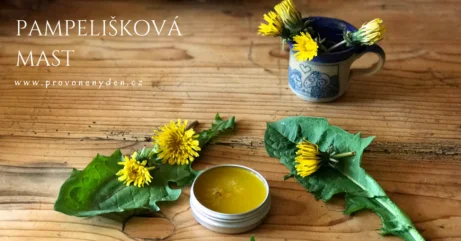 Žluté pampelišky s listy a mase v nádobě na dřevě.
