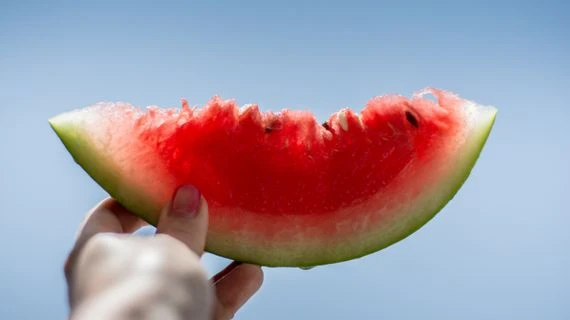 Ruka drží kus vodní melounu na modrém pozadí.
